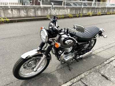 Kawasaki W800 2024