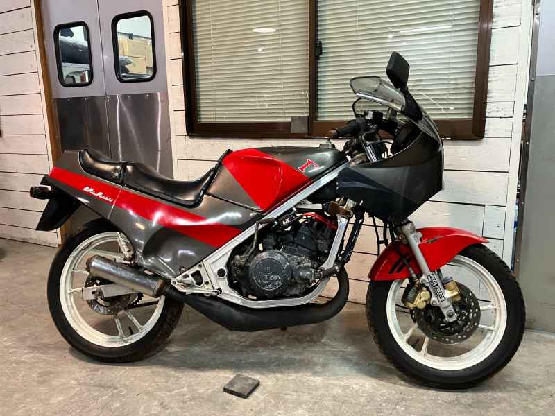 Suzuki RG250 Gamma