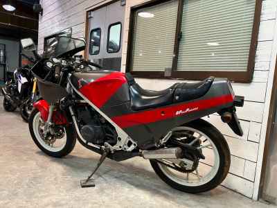 Suzuki RG250 Gamma