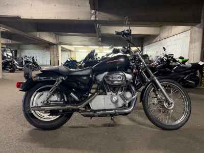 Harley-Davidson Sportster Custom XL883C 2005