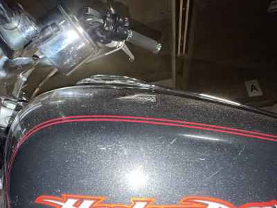 Harley-Davidson Sportster Custom XL883C 2005