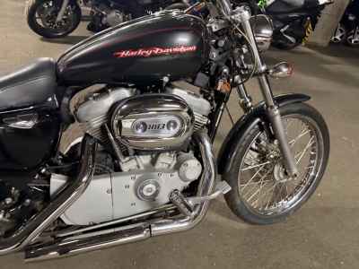 Harley-Davidson Sportster Custom XL883C 2005
