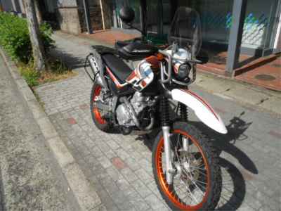 Suzuki ZULIN GSX250