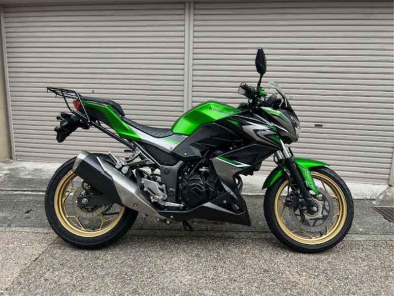 Kawasaki Z250 2017