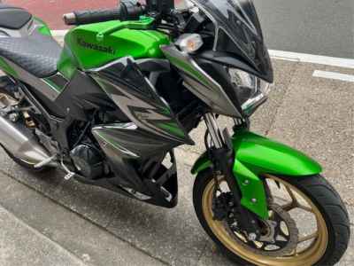 Kawasaki Z250 2017