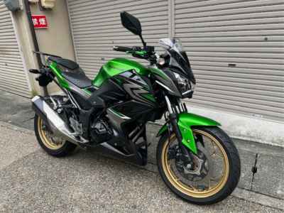 Kawasaki Z250 2017