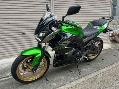 Kawasaki Z250 2017