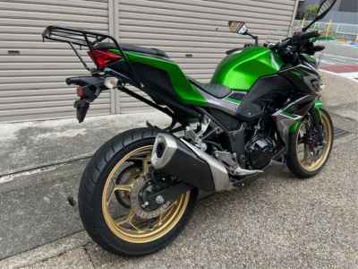 Kawasaki Z250 2017