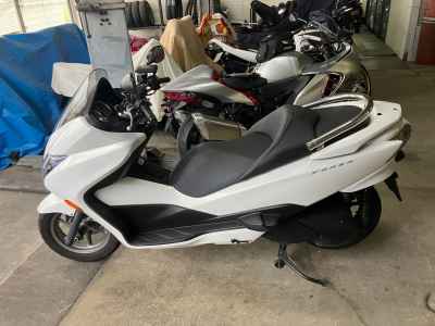 Honda Forza Z 2010