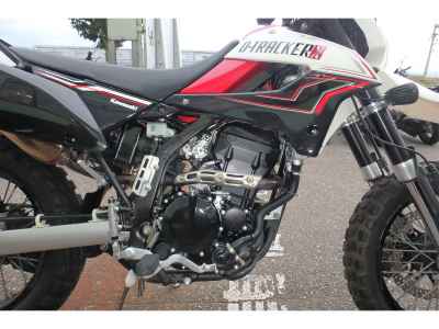 Kawasaki D-Tracker 250 X 2011