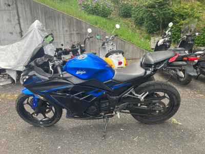 Kawasaki Ninja 250 2015