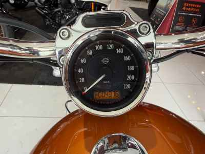 Harley-Davidson Sportster Custom XL1200C 2013