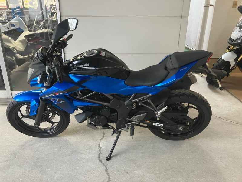 Kawasaki Z250SL 2016