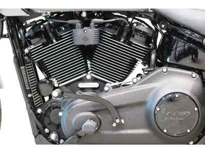 Harley-Davidson Low Rider ST FXLRST1920 2025