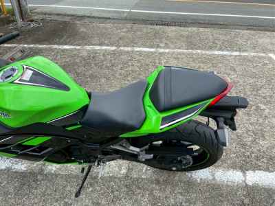 Kawasaki Ninja 250 2013