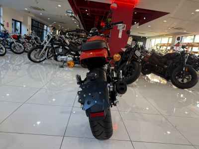 Harley-Davidson X500 2024
