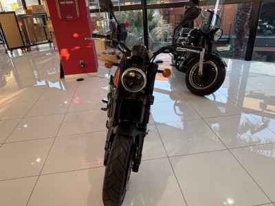 Harley-Davidson X500 2024