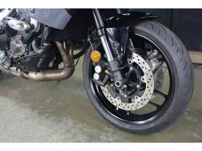 Yamaha XSR900 GP 2024