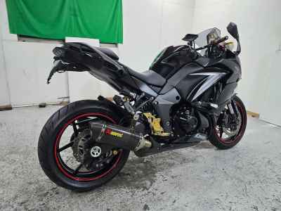 Kawasaki Ninja 1000 2019