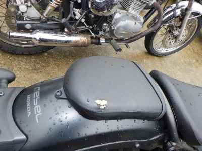 Honda Rebel CMX250 2023