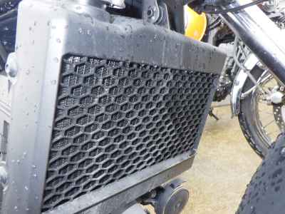 Honda Rebel CMX250 2023