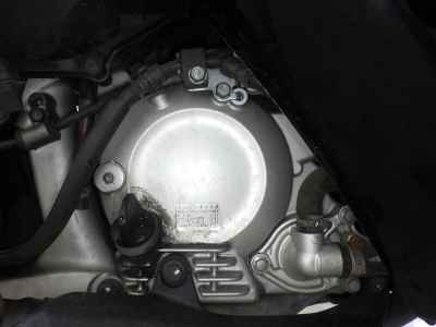 Honda Forza Z 2010