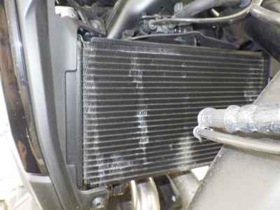 Honda NX400 2024