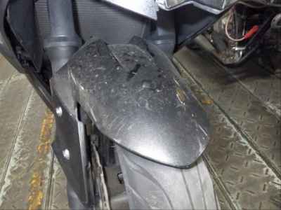 Kawasaki Ninja 250 2016