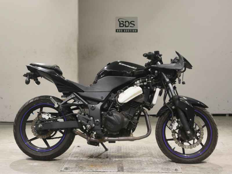 Kawasaki Ninja 250R 2010