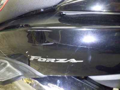 Honda Forza 2008