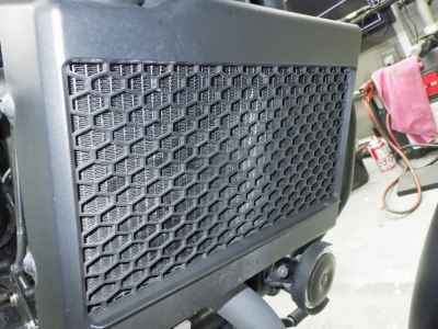 Honda Rebel CMX250 2023