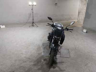 Yamaha FZ25 2022