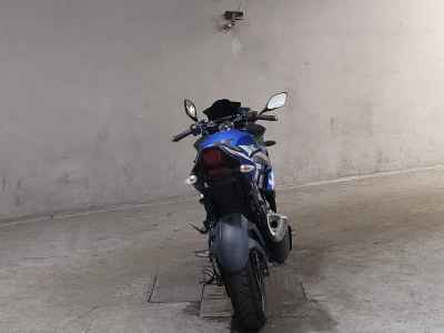 Suzuki GSX250R
