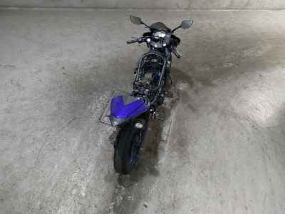 Yamaha YZF-R25 2017