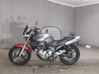 Yamaha Zeal FZX250