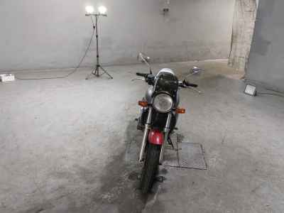 Yamaha Zeal FZX250