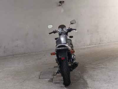 Yamaha Zeal FZX250