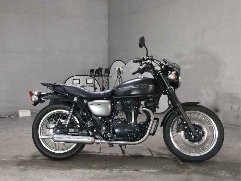 Kawasaki W800 2019