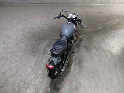 Kawasaki W800 2022