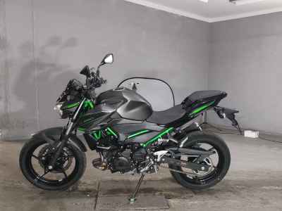 Kawasaki Ninja 250 2024