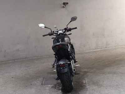 Triumph Trident 660 2025