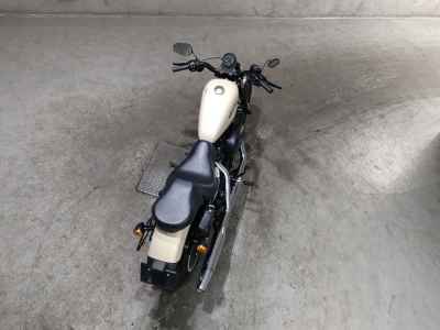 Harley-Davidson XL883N 2014
