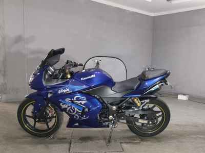 Kawasaki Ninja 250R
