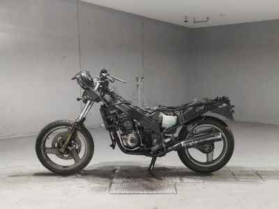 Kawasaki ZZR250
