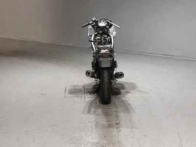 Kawasaki ZZR250