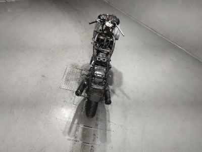 Kawasaki ZZR250