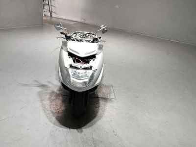 Yamaha Maxam 250