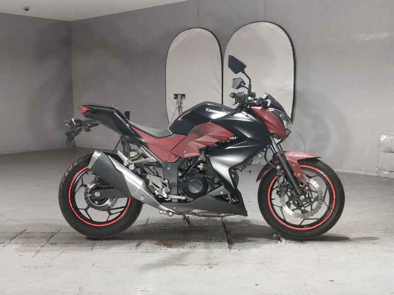 Kawasaki Z250 2013