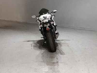 Kawasaki Ninja ZX-10R 2020