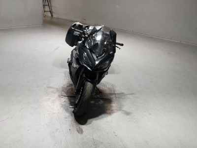 Kawasaki Ninja 1000 2019
